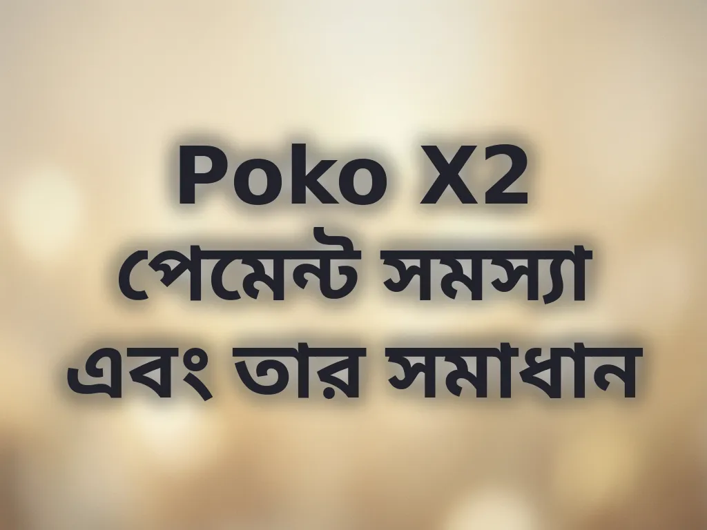 Poko X2 পেমেন্ট সমাধান